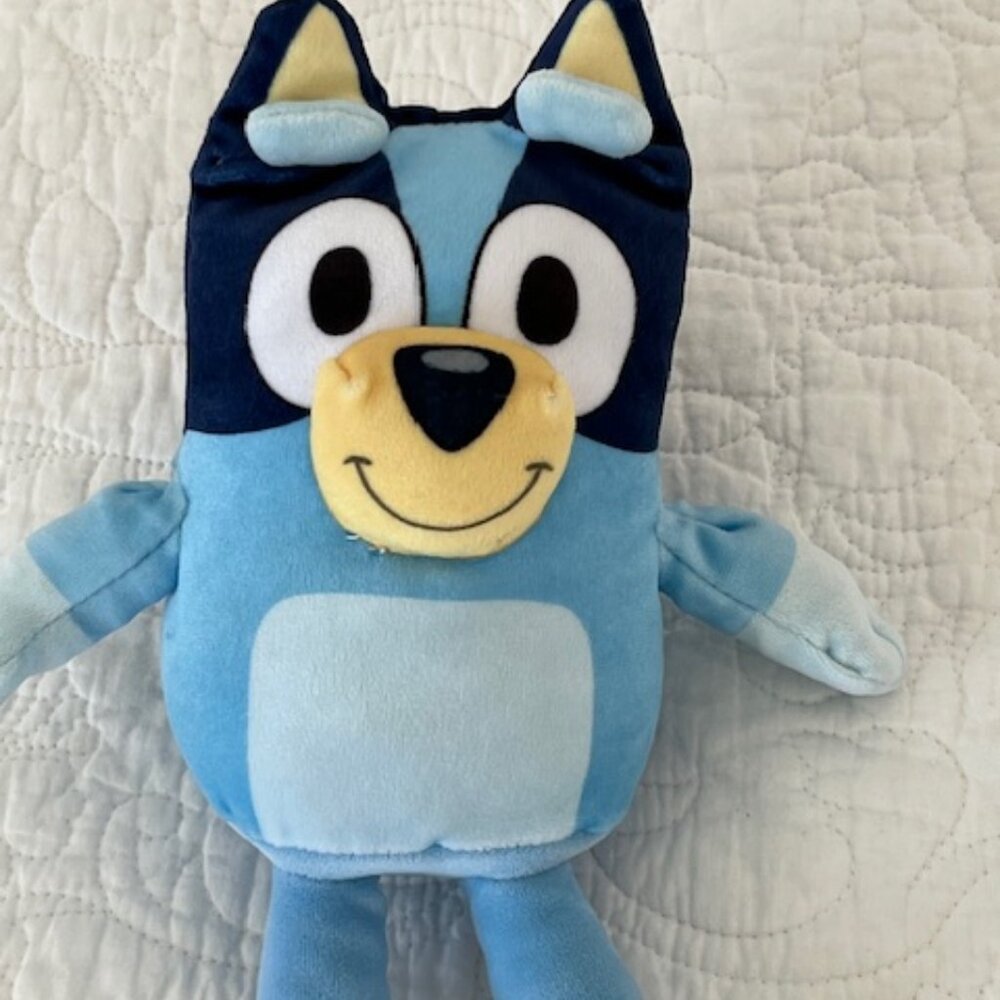 BLUEY - TY